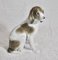 Chien Vintage en Porcelaine, 1950s 2