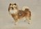 Figura de perro Coopercraft Chow Chow de Inglaterra vintage, Imagen 2
