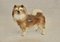 Statuetta vintage Coopercraft Chow Chow Dog, Inghilterra, Immagine 2