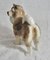Figurine Chien Coopercraft Chow Chow Vintage Angleterre 4