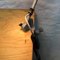 Lámpara Clamp de Curt Fischer para Midgard Auma, Imagen 8