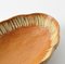 Mid-Century Italian Wooden Bowl from Macabo Cusano Milanino, 1950s 8