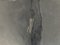 Scatola Mid-Century in ottone martellato a mano e placcato in argento di Zanetto Padova, Italia, anni '70, Immagine 10
