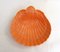 Mid-Century Shell Bowl by Bassano, 1950s, Image 1