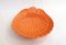 Mid-Century Shell Bowl by Bassano, 1950s, Image 6