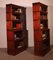 Antique Bookcases in Mahogany from Globe Wernicke, Set of 2 6