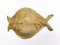 Bronze Fish Wall Sculpture by Chrystiane Charles for Maison Charles, 1970 1
