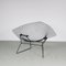 Large Diamond Chair by Harry Bertoia for Knoll International, 1960, Image 3