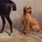 Circle of Albert H. Clark, Reitpferd im Stall mit Hunden, Öl auf Leinwand, Gerahmt 3