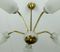 Spider Ceiling Lamp in Brass and Glass, 1950s 11