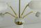 Spider Ceiling Lamp in Brass and Glass, 1950s 9