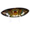 Dutch Art Pottery Earthenware Dish Tray from Gouda, Holland, Image 1