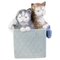 Kitten Figurine Group in Porcelain from Lladro, Image 1