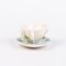 Porzellan Teetasse und Untertasse mit Blumendekor von Franz, 2 . Set 5