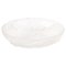 Frosted Glass French Dragonflies Dish from Lalique 2