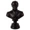 Duke of Wellington Bust, Bronze Sculpture 1