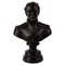 Duke of Wellington Bust, Bronze Sculpture, Image 1