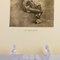 Felicien Rops, Le Beau Paon, Belgio, Incisione originale, XIX secolo, Immagine 4