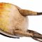 Painted Pelican Toleware Sculpture, Image 5