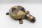 Pufs Mid-Century modernos de cuero con forma de tortuga, Suiza, años 60. Juego de 3, Imagen 4