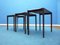 Anthroposophical Teak Nesting Tables by Rex Raab for Wilhelm Renz, 1960s, Set of 3 7