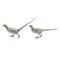 20th Century Silver Ornamental Pheasants, Hanau, Germany, 1960s, Set of 2 18