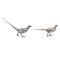 20th Century Silver Ornamental Pheasants, Hanau, Germany, 1960s, Set of 2, Image 20