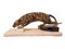 Art Deco Figure Pouncing Tiger, 1920s, Image 1