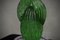 Green Art Glass Cactus Plant by Murano Formia for Marta Marzotto, 1990 5