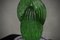 Grüne Kaktuspflanze aus Kunstglas von Murano Formia für Marta Marzotto, 1990 5