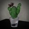 Pianta di cactus in vetro verde di Marta Marzotto, 1990, Immagine 6