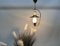 Mid-Century Italian Brass and Copper Hanging Lamp, 1950s, Image 14
