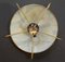 Large Mid-Century Dome Ceiling or Wall Lamp from Erco, Germany, 1950s, Image 3