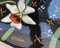 Handbemalte Obstschale mit Blumenmotiv aus glasierter Keramik von Longwy, Frankreich 8