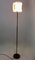 Vintage Minimalist Acrylic Glass and Brass Floor Lamp from Stilux Milano, Italy, 1960s 2