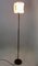 Vintage Minimalist Acrylic Glass and Brass Floor Lamp from Stilux Milano, Italy, 1960s, Image 2