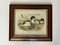 Ducks, anni '80, stampe, con cornice, set di 2, Immagine 7