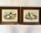 Ducks, 1980s, Prints, Framed, Set of 2, Image 1