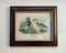 Ducks, 1980s, Prints, Framed, Set of 2, Image 5