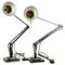 Mid-Century Model 1227 Black Anglepoise Table Lamps from Herbert Terry, Set of 2, Image 1
