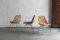 Chaises Vintage en Rotin par Rotanhuis, Pays-Bas, 1960s, Set de 6 3