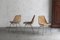 Vintage Dutch Rattan Chairs by Rotanhuis, 1960s, Set of 6, Image 3
