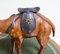 Vintage Aged Leather Camel Sculpture on Hand Carved Wood from Libertys 7