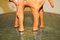 Vintage Kamelskulptur aus gealtertem Leder auf handgeschnitztem Holz von Libertys 12