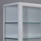 Vintage Iron and Glass Medical Cabinet, 1965, Image 7