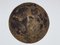 Michel Pichard, Wandskulptur Full Moon, 2017, Bronze & Harz 1