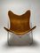 Fauteuil Tripolina par Dino Gavina, Italie, 1950s 2