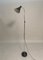 Extendable Floor Lamp by Ignazio Gardella for Azucena, 1950 4