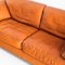 Three-Seater Sofa Model Ds-17/123 in Cognac-Colored Leather by de Sede, Switzerland 15
