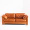 Three-Seater Sofa Model Ds-17/123 in Cognac-Colored Leather by de Sede, Switzerland 1